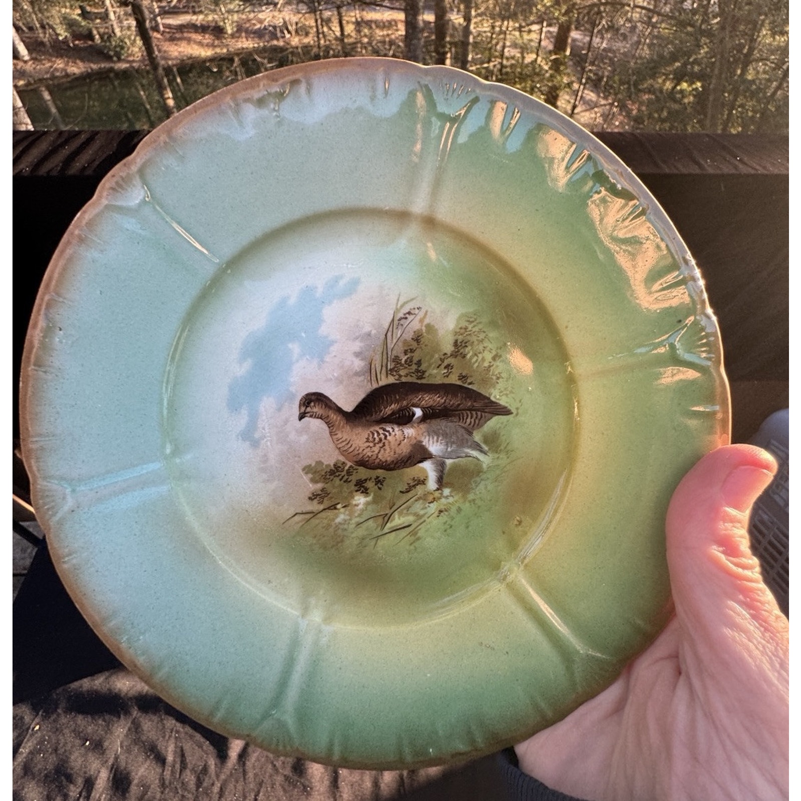Vintage Lovely BONN FRANZANT MEHLEM Bird PHEASANT Plate -C27