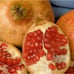 Very Large 'Sweet' Pomegranate Fruit Tree - Fruits Earlier Than Wonderful