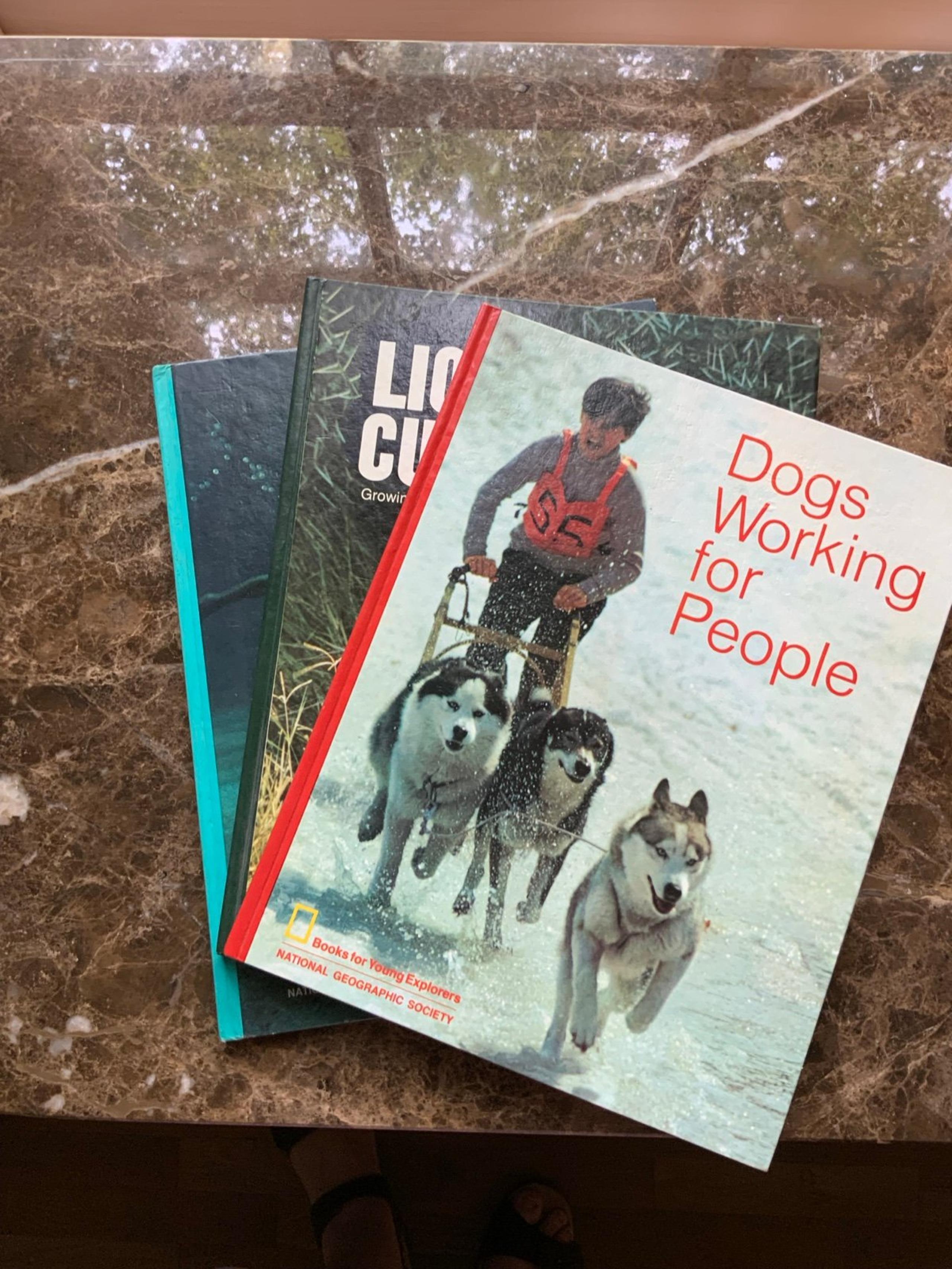 3 Vintage National Geographic Society: Books for Young Explorers