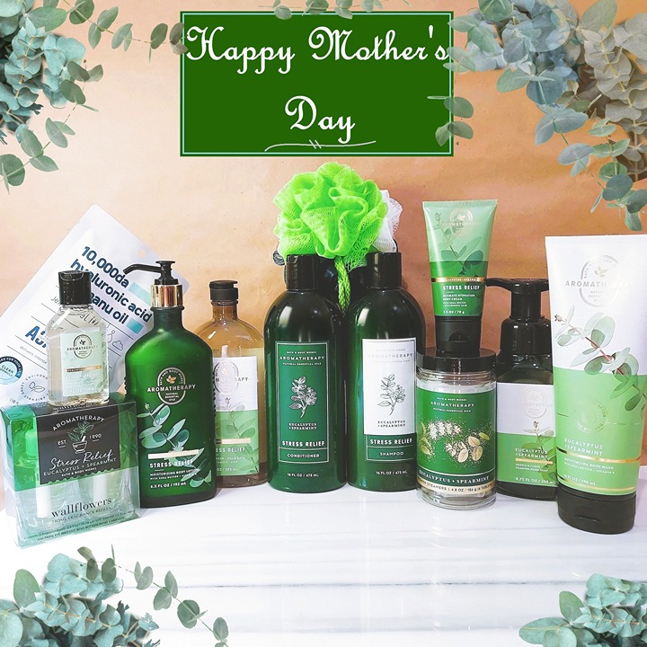 BBW Aromatherapy Stress Relief Eucalyptus Spearmint Bundle