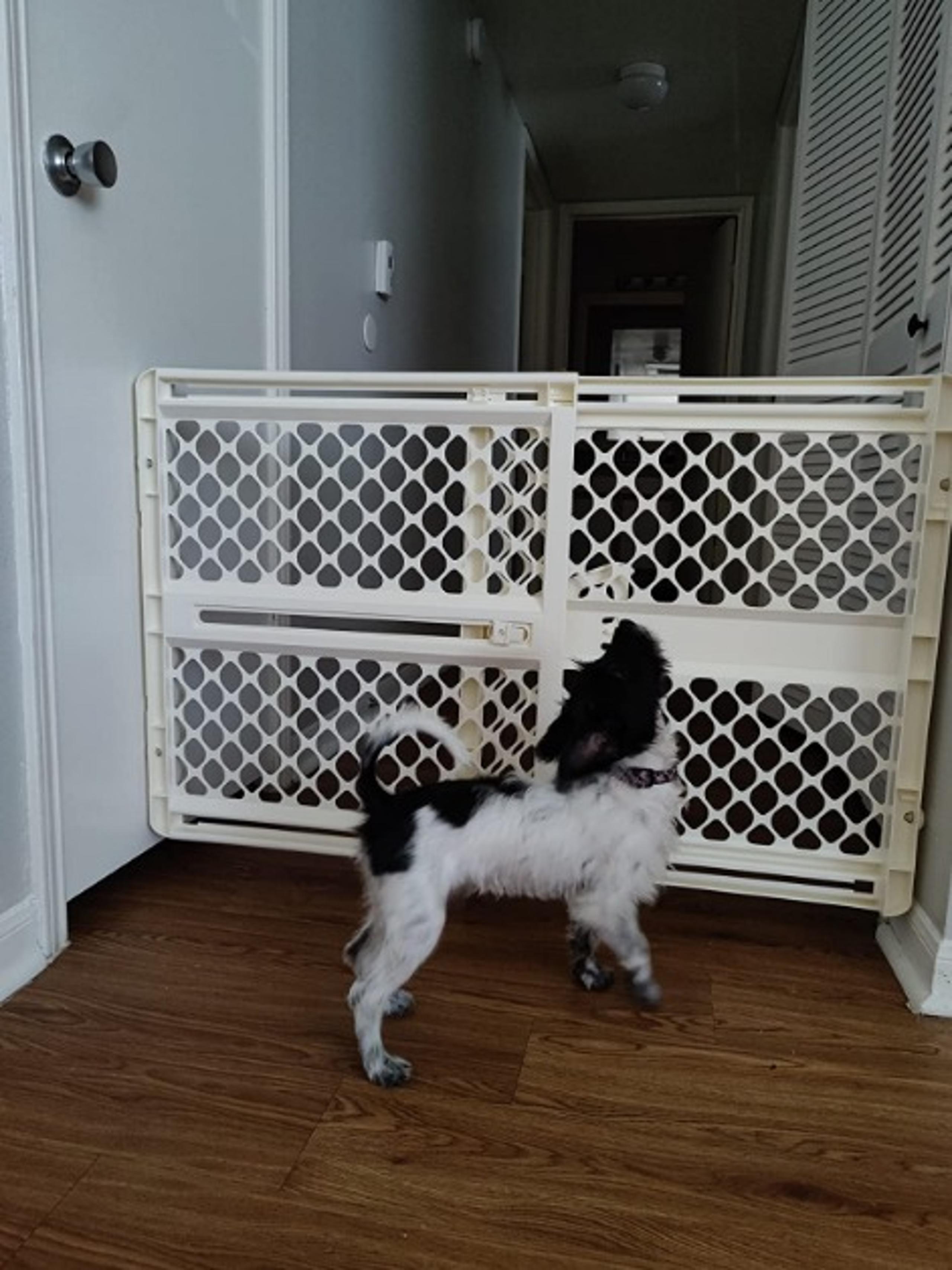 Supergate Ergo Child Gate, Baby Gate for Stairs and Doorways