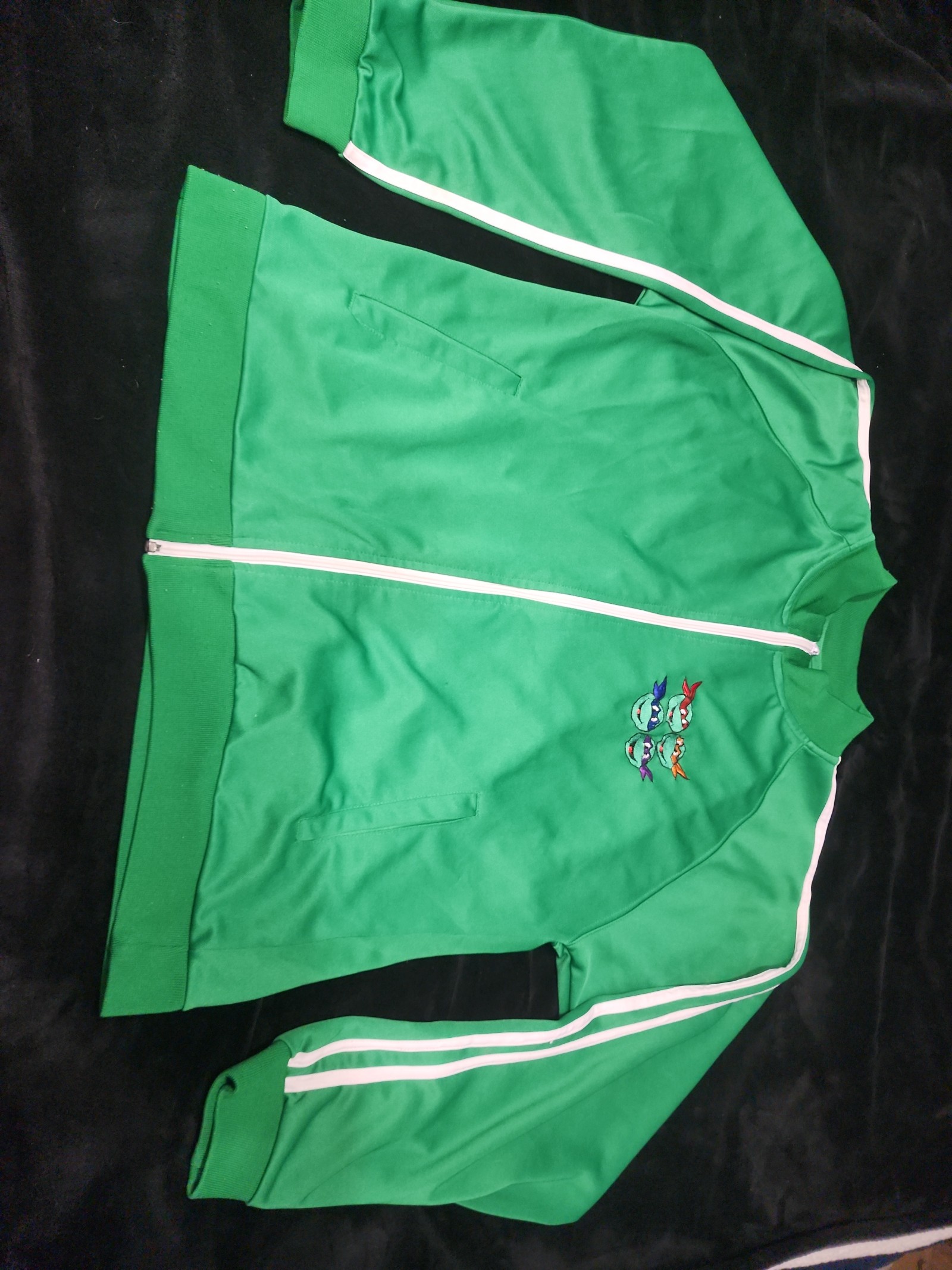 Vintage Tmnt jacket