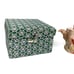 Amazing Hand Carved Soapstone Tea Pot