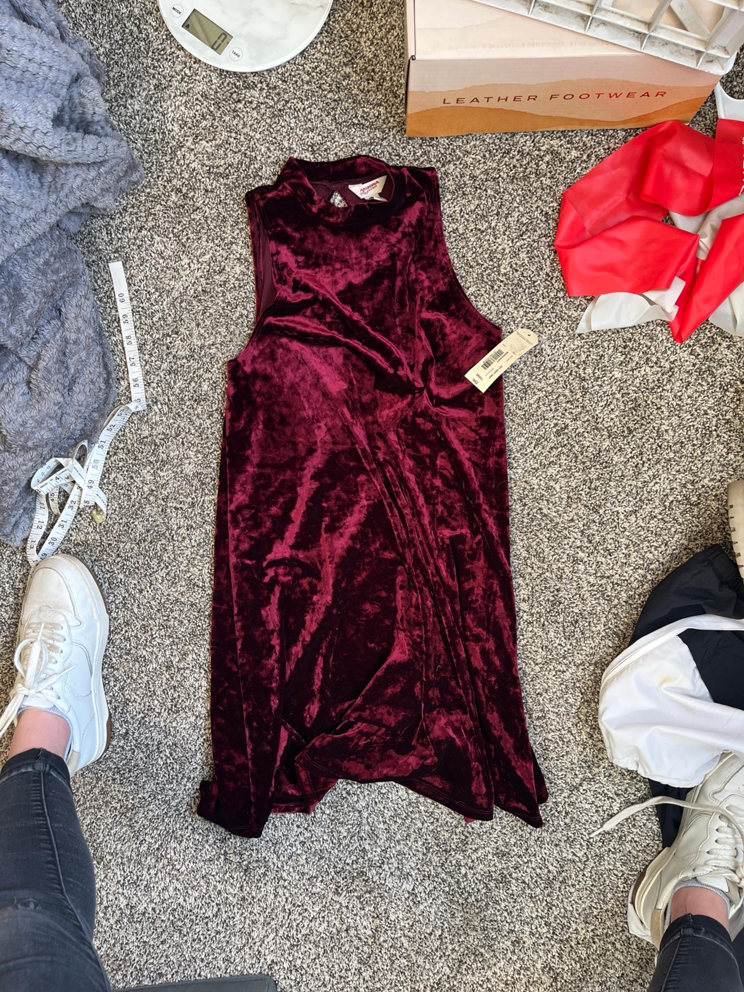 Velvet dress NWT