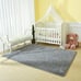 Soft Fluffy Bedroom Rugs, 4 x 6 Feet Indoor Shaggy Plush Area Rug