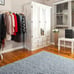 Soft Fluffy Bedroom Rugs, 4 x 6 Feet Indoor Shaggy Plush Area Rug