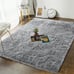 Soft Fluffy Bedroom Rugs, 4 x 6 Feet Indoor Shaggy Plush Area Rug