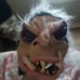 Scary Alien Halloween Mask Chupacabra