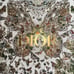 Christian Dior Holiday 2023 “Around The World” Butterflies Motif Storage Box