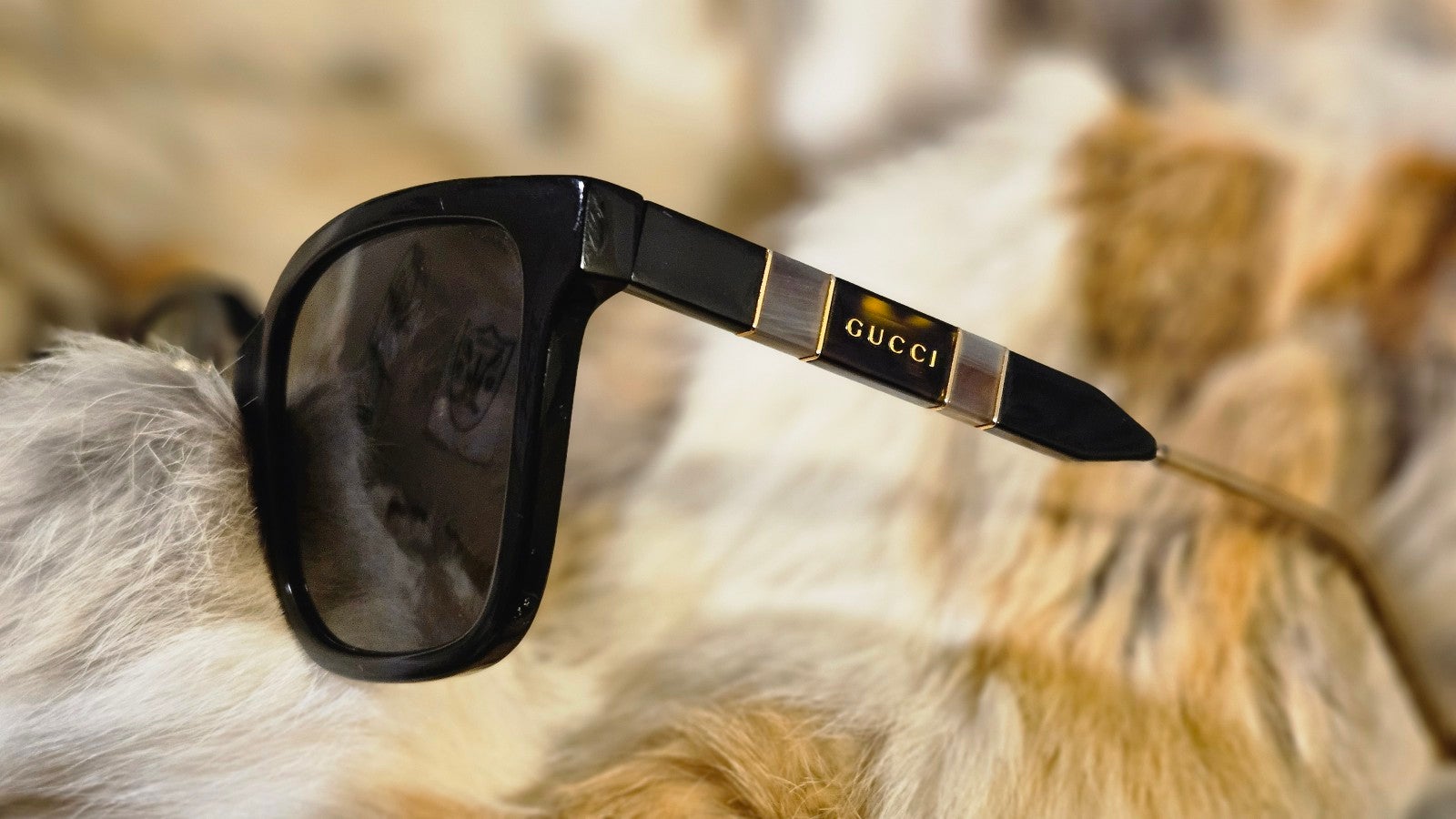 Gucci sunglasses