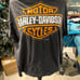Vintage Taz Harley Shirt