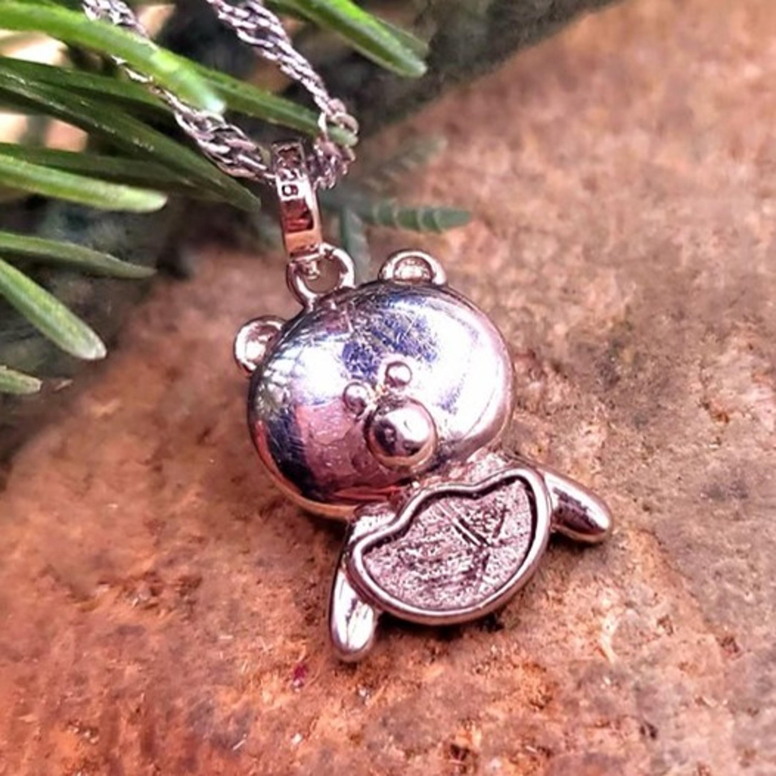 Genuine Nature Gibeon Meteorite Pig  Carries Gold 925 Pendant Necklace
