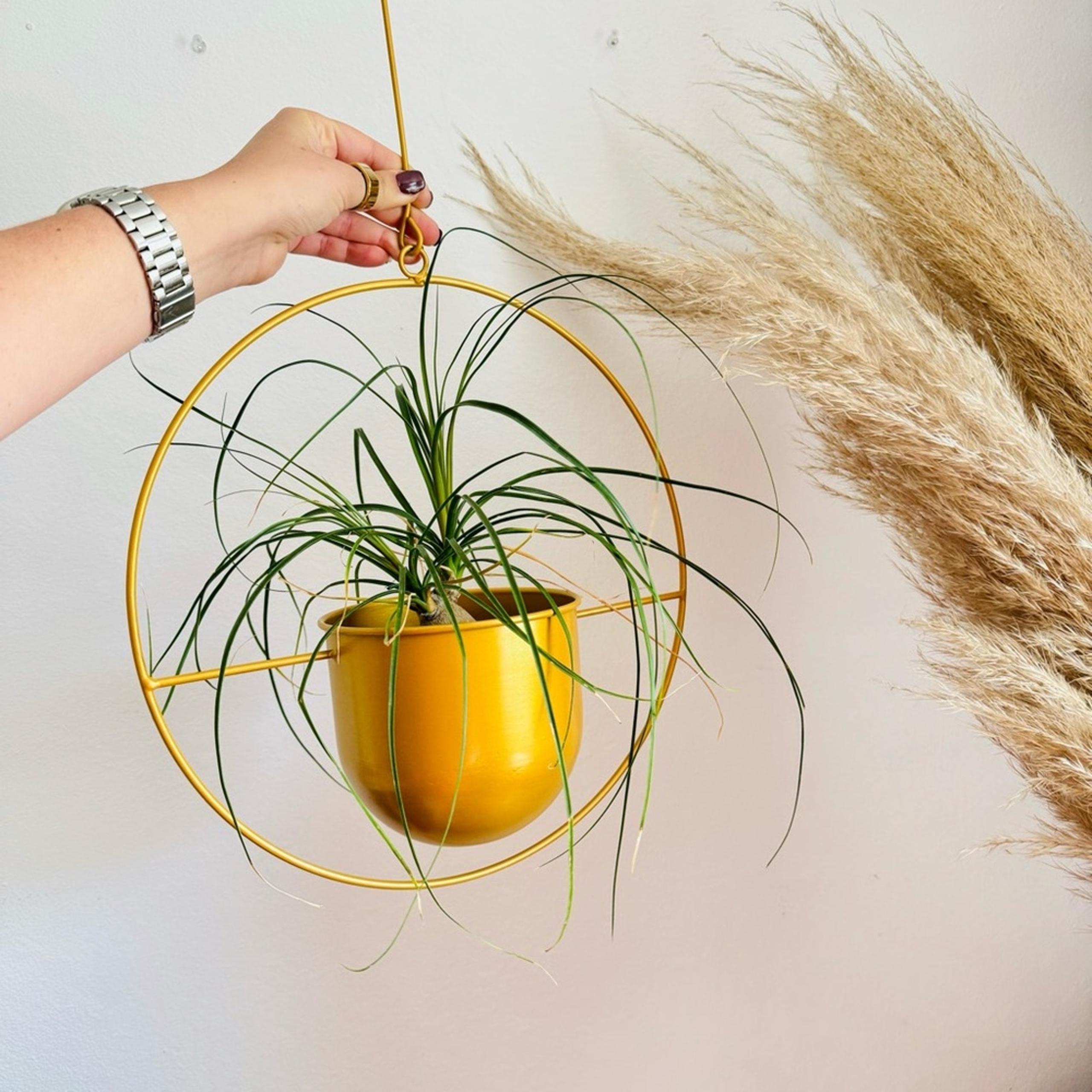 NEW TERRAIN ANTHROPOLOGIE Mustard Gold Yellow Circle Plant Pot Hanging Planter