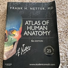 Netter Atlas of human anatomy