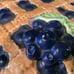 Blueberry Pie Recipe Pie Pan Dish Scalloped Edge with Lid Universal Trumps Corp