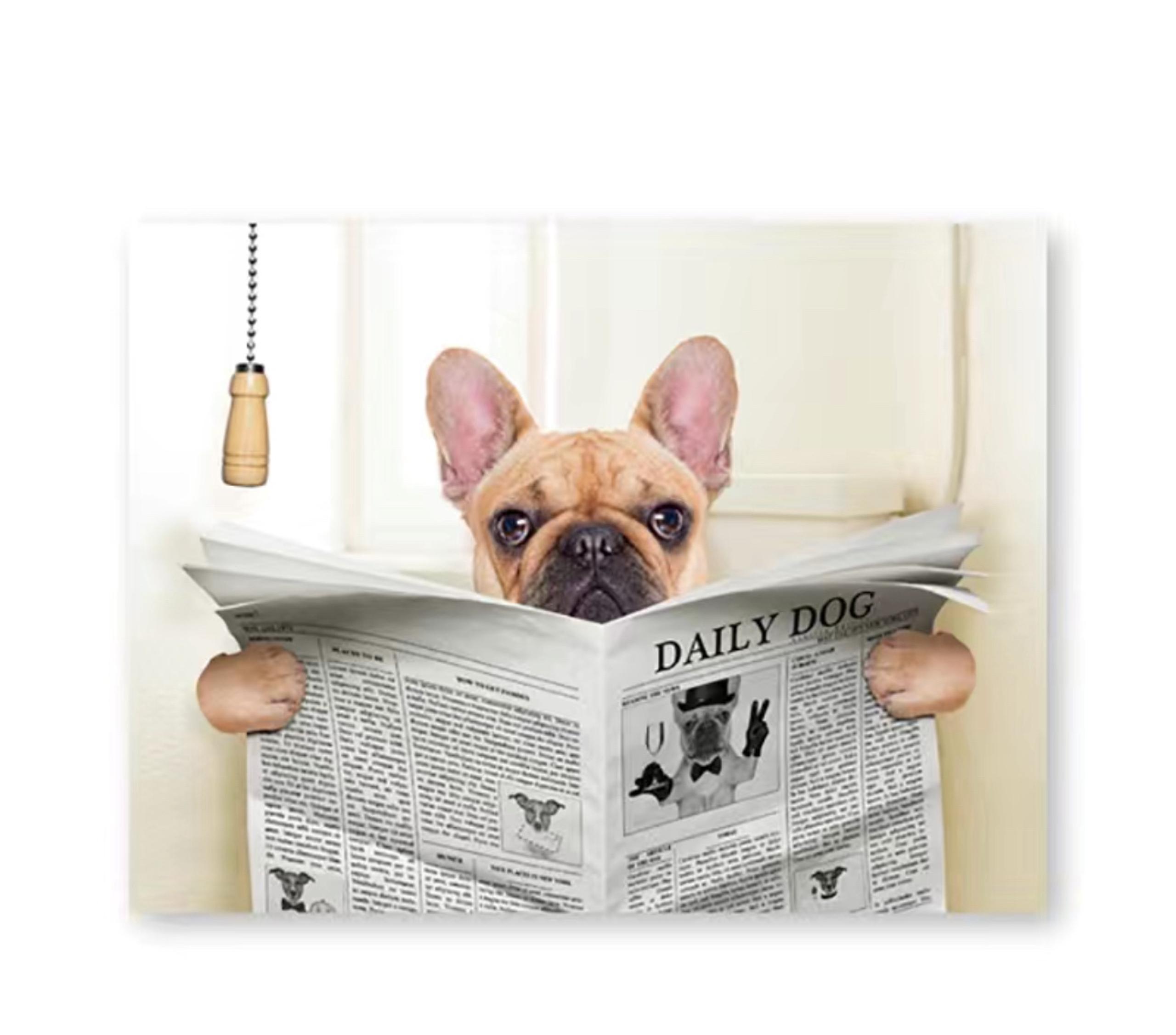 NEW French Bulldog Wall Art