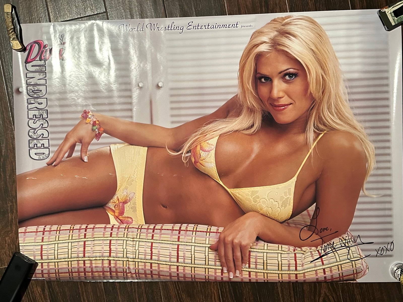 Vintage 2002 WWE Torrie Wilson Undressed Poster 27x38”