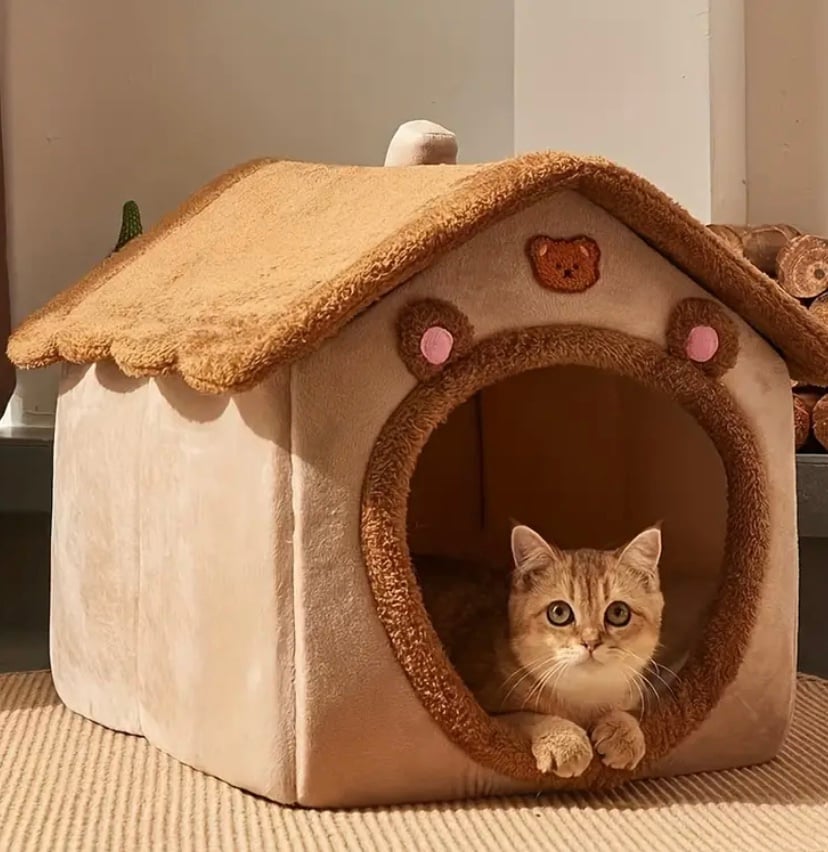Cat house