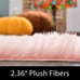 Pink Rug 2x3 Rug Faux Fur Rug for Bedroom Decor for Teen Girls Throw Rug