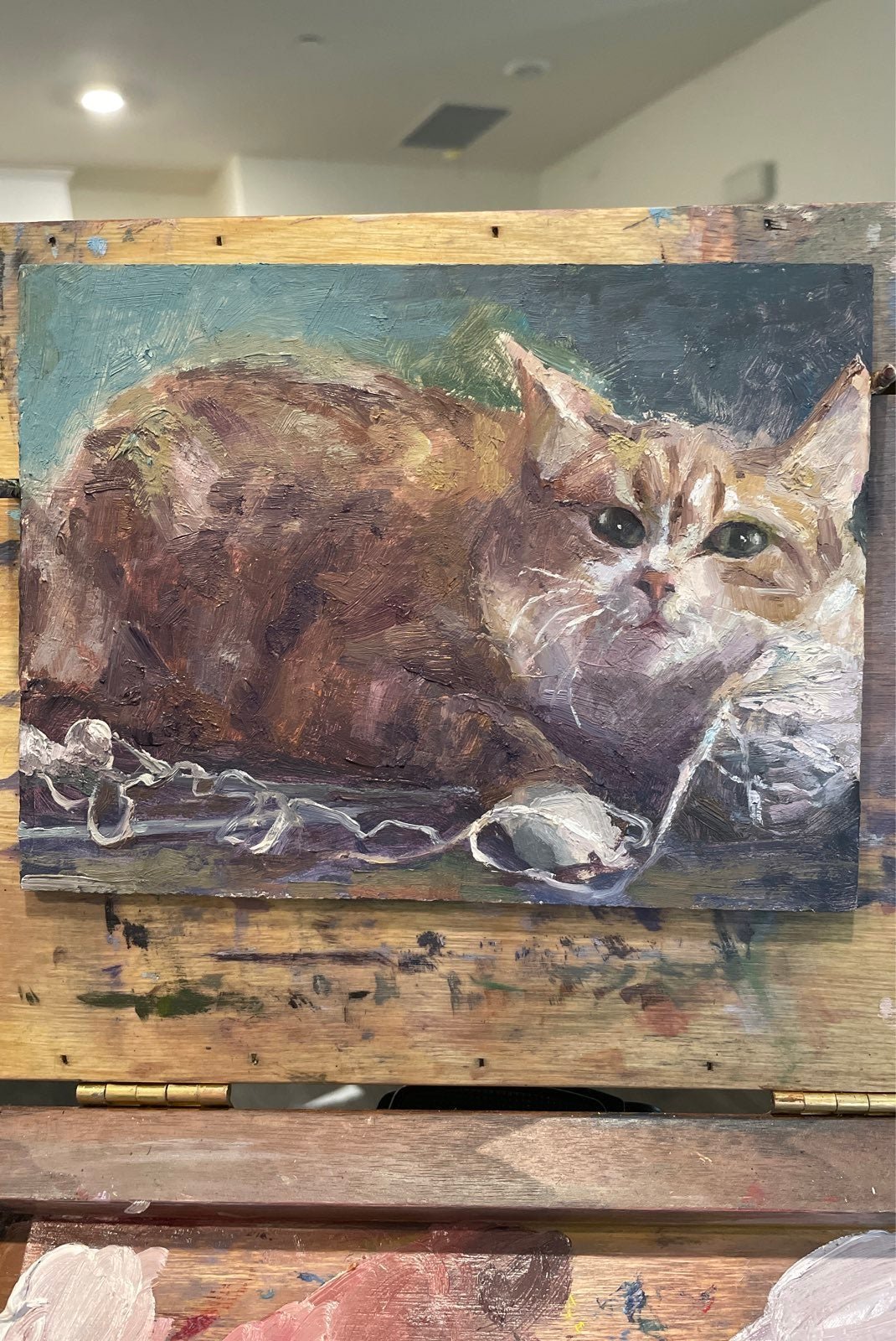 oil painting-cat (sold)