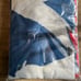Cleveland Indians lot - includes blanket, bear, pompom, picture holder