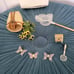 American Girl Pleasant company Samantha nature paraphernalia set
