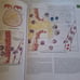 Porth's Pathophysiology : Concepts of Altered Health States by Tommie L. Norris