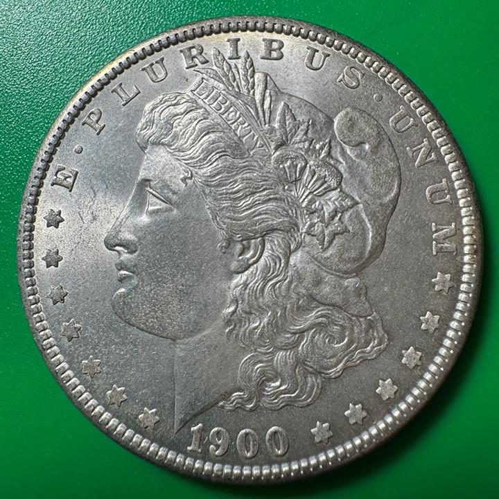 1900 Morgan Silver Dollar 14534