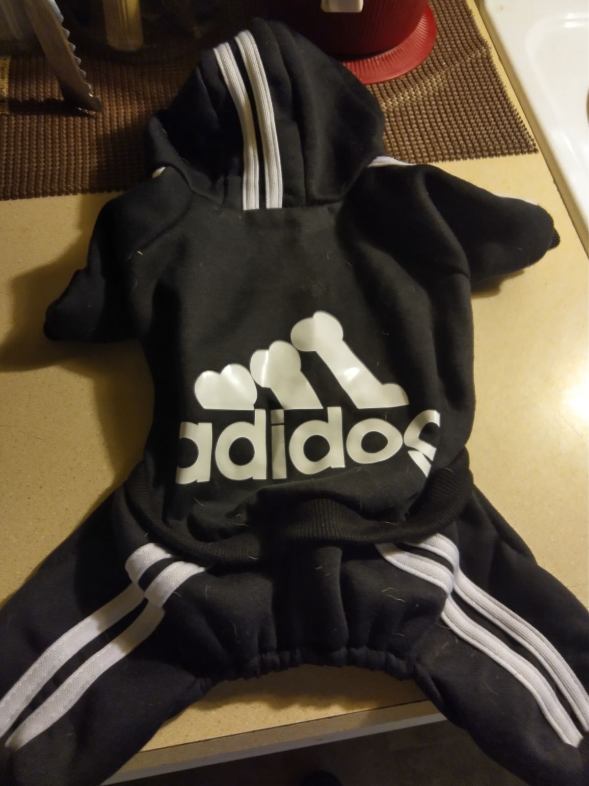 Adidog outfit, rain coat, fur vest , and