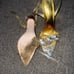 Azalea Wang Gold Sandals