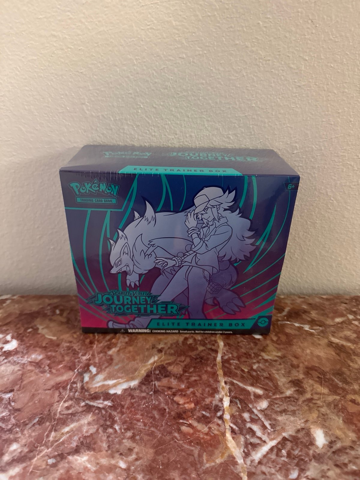 Pokemon Journey Together ETb