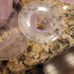 wearable double breast pump freemie slim cup