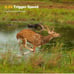Trail Cameras 4K 30MP