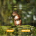 Trail Cameras 4K 30MP