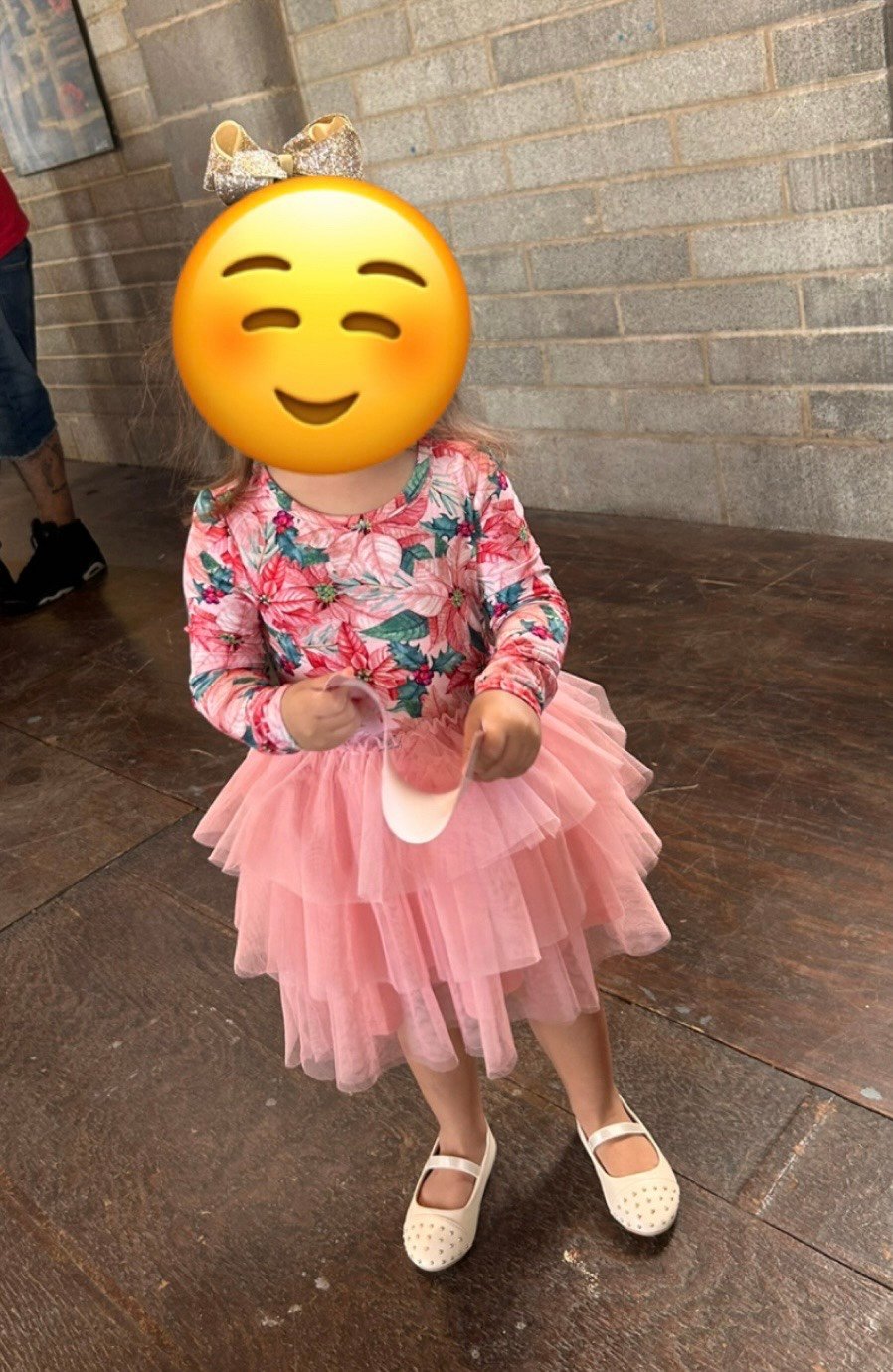 poinsettia posh peanut tulle dress 3t/4t