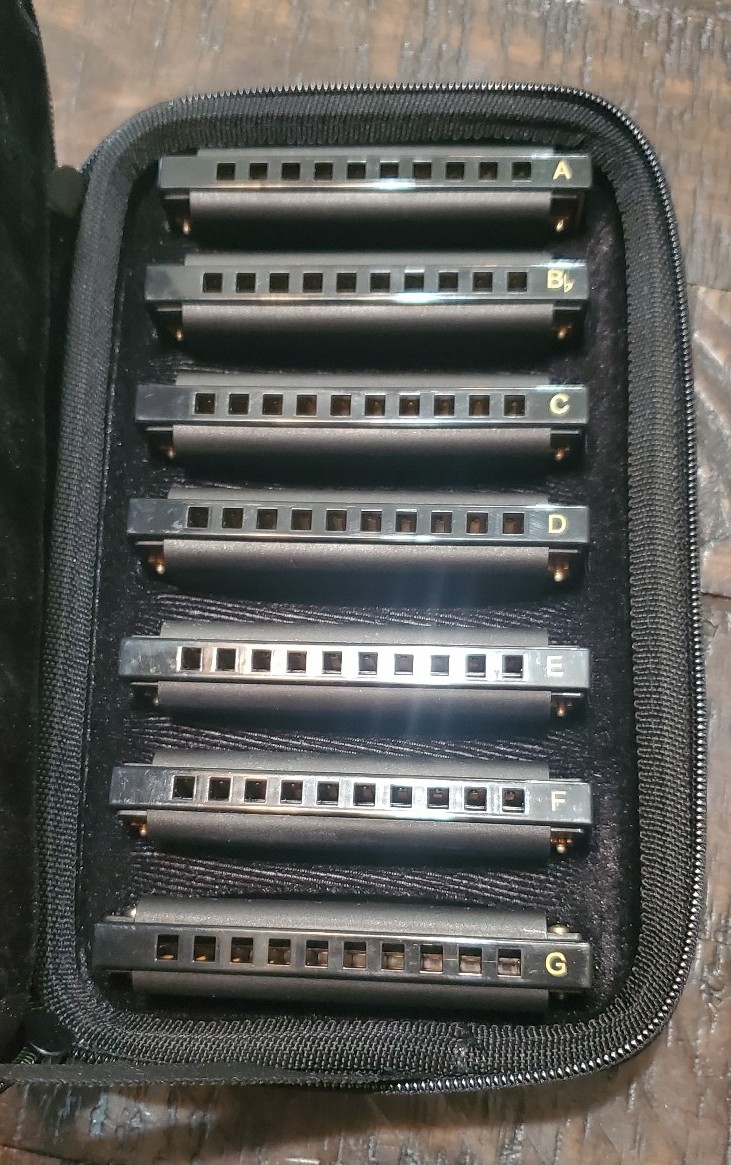 Piedmont Blues Harmonica Set Keys of A,B,C,D,E,F,G w/ Black Case