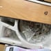 HUGGER 52” LED Ceiling Fan & Light Brushed Nickel, Opal Frosted Shade, Beige NIB