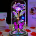 Valentines Day Gifts for Her, Valentines Day Rose Flowers Gifts