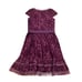 Tadashi Shoij Horsewire Cap Sleeve Embroidered Lace Mesh Belted Dress