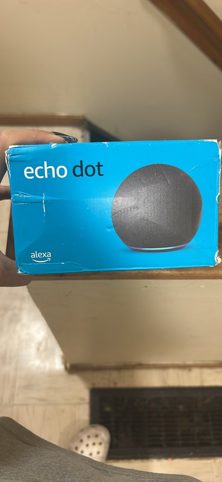 Echo Dot 5th gen (2022)