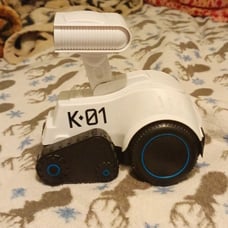 Robot