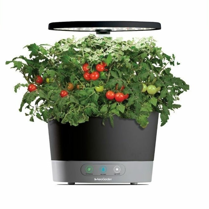 NEW AeroGarden Harvest 360 6Pod Black
