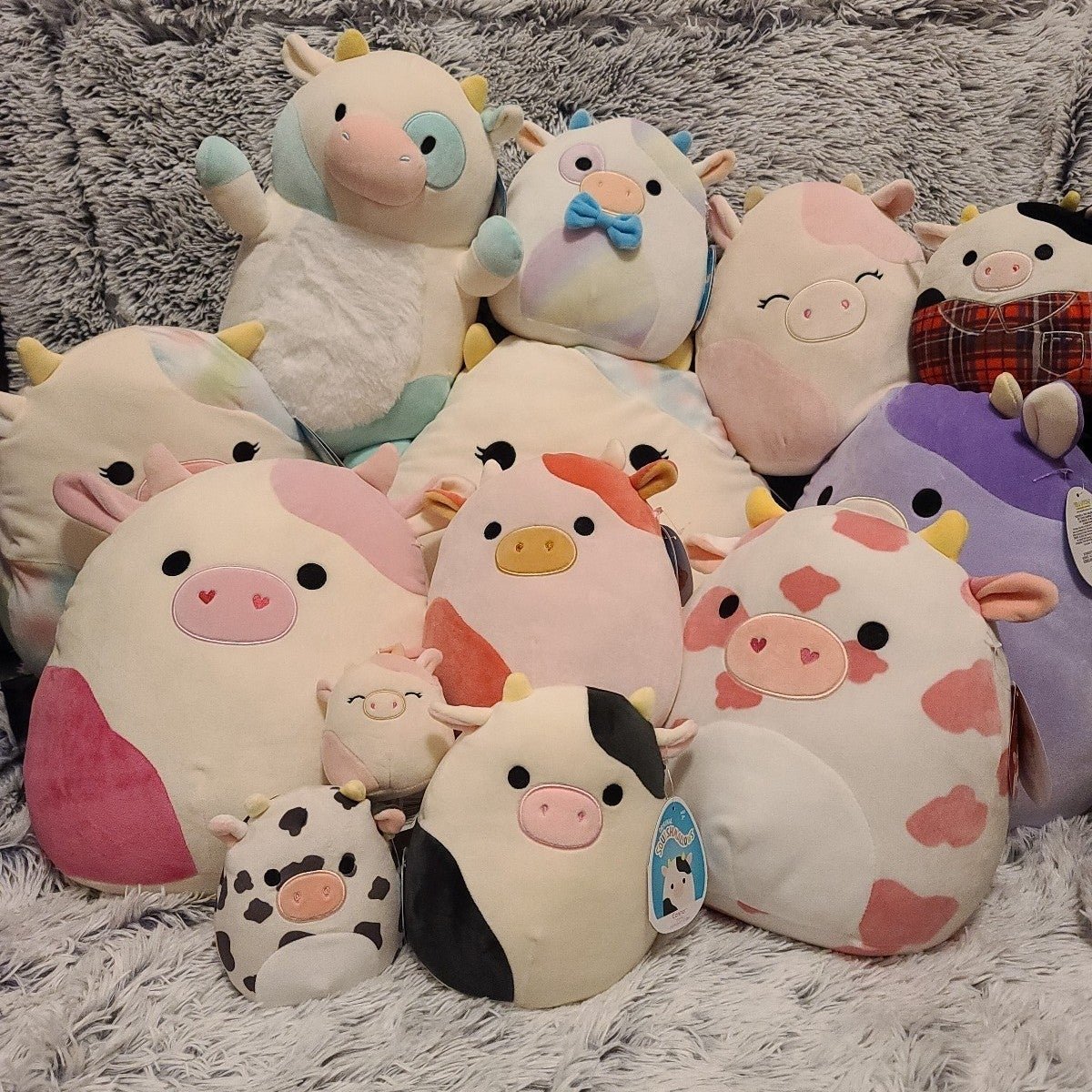 Squishmallows Cow Bundle - BNWT!!