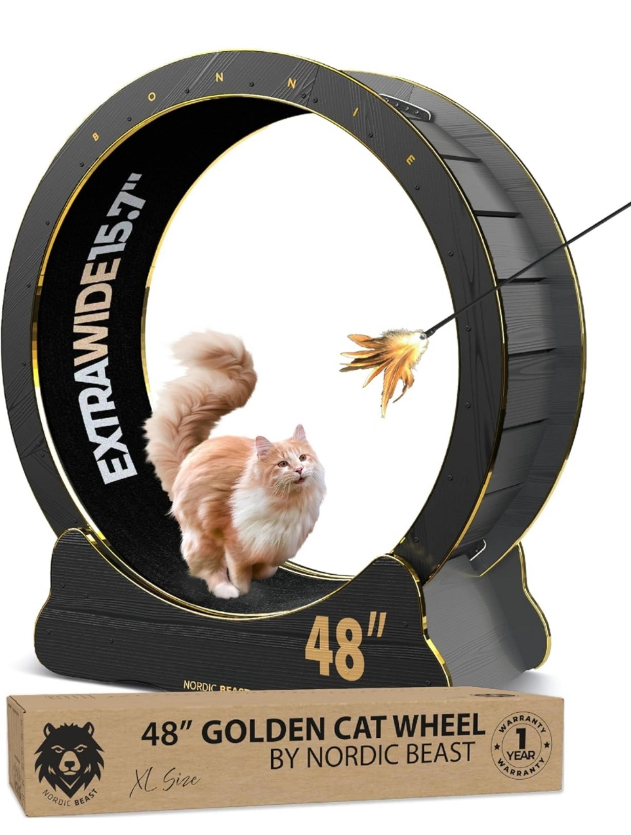 48'' Golden XL Cat Wheel - Cat Wheels for Indoor