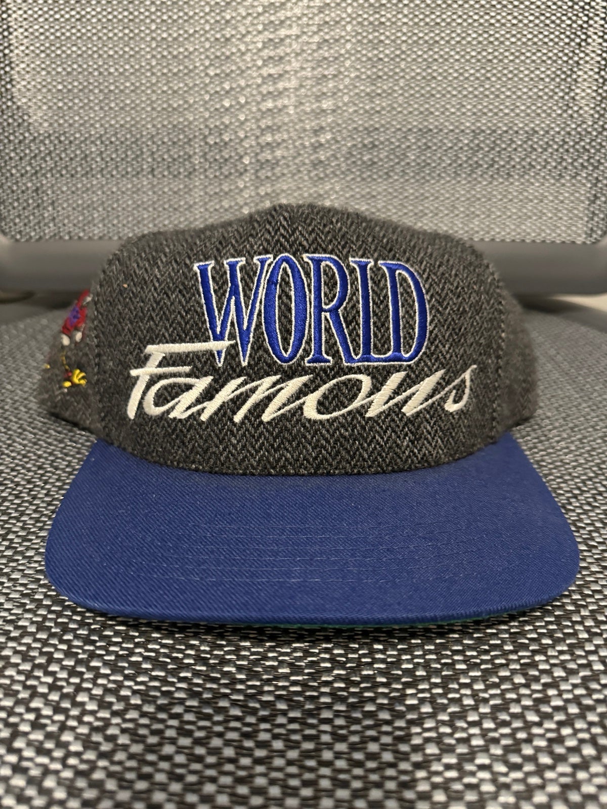 Supreme world famous SnapBack