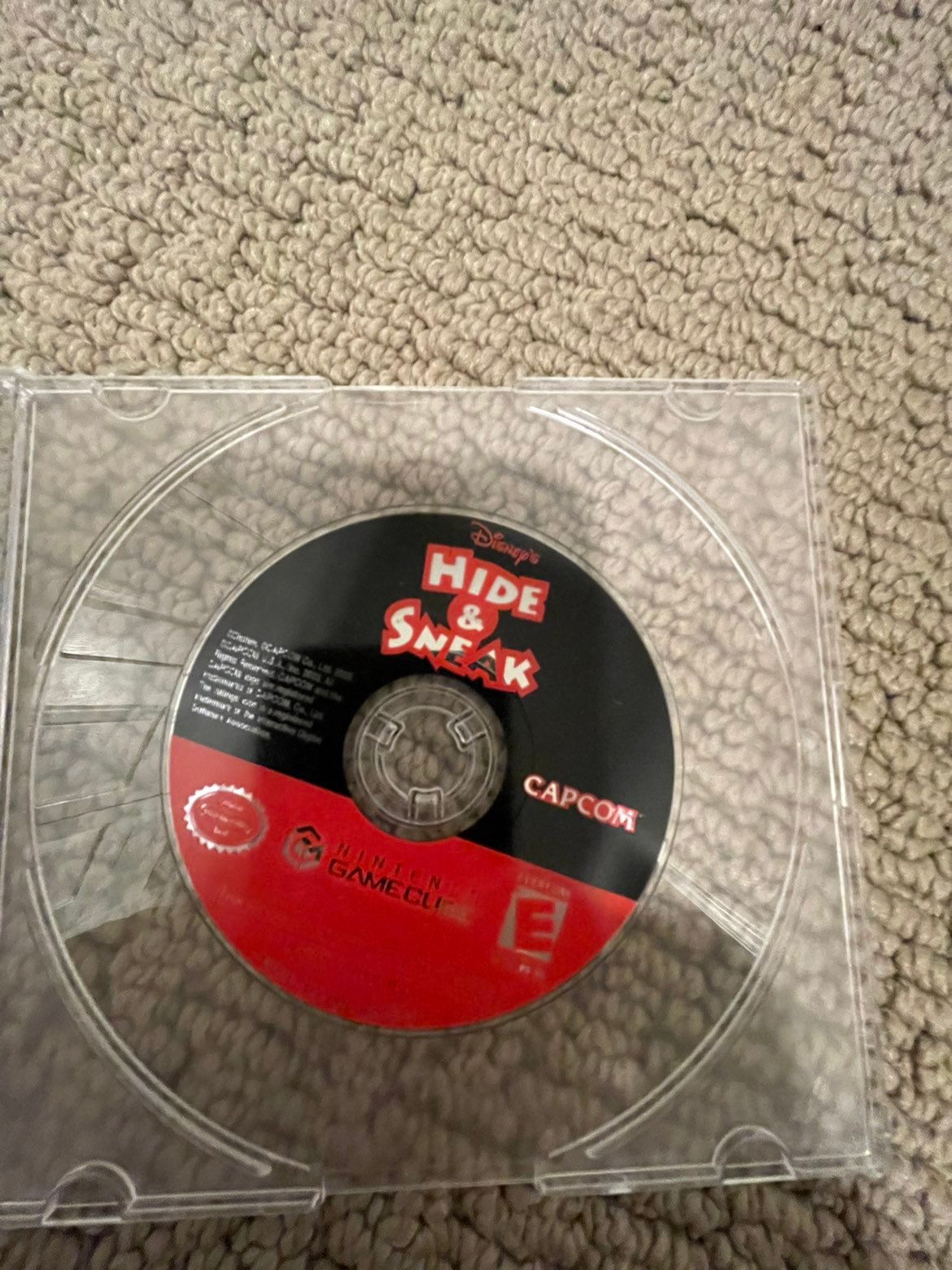 Disney's Hide and Sneak for (GameCube)