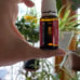 Young Living Essential Oils Ylang Ylang 15ml Opened