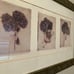 Hydrangeas Giclee Art Print Artist Signed Amy Melious