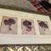 Hydrangeas Giclee Art Print Artist Signed Amy Melious