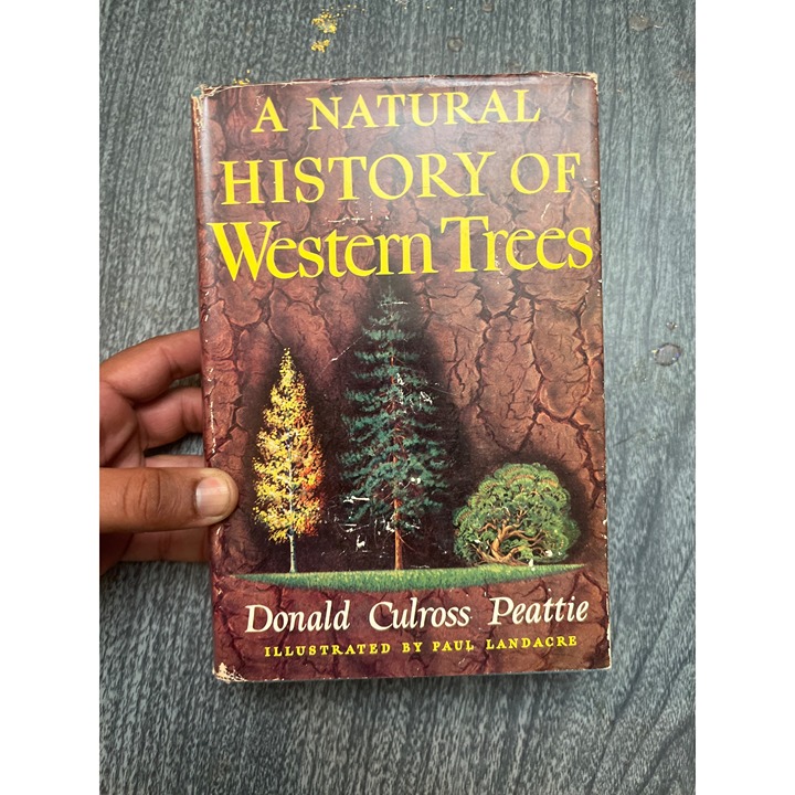 A Natural History Of Western Trees Donald Culross Peattie 1953 Dust Jacket